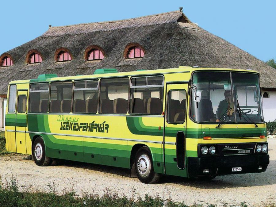  Ikarus 250.59 1984 года  (фото 4 из 5)